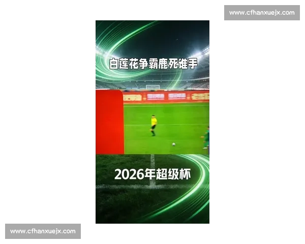 惊喜连连！2026世界杯全场回放，一场关于梦想的终极对决！